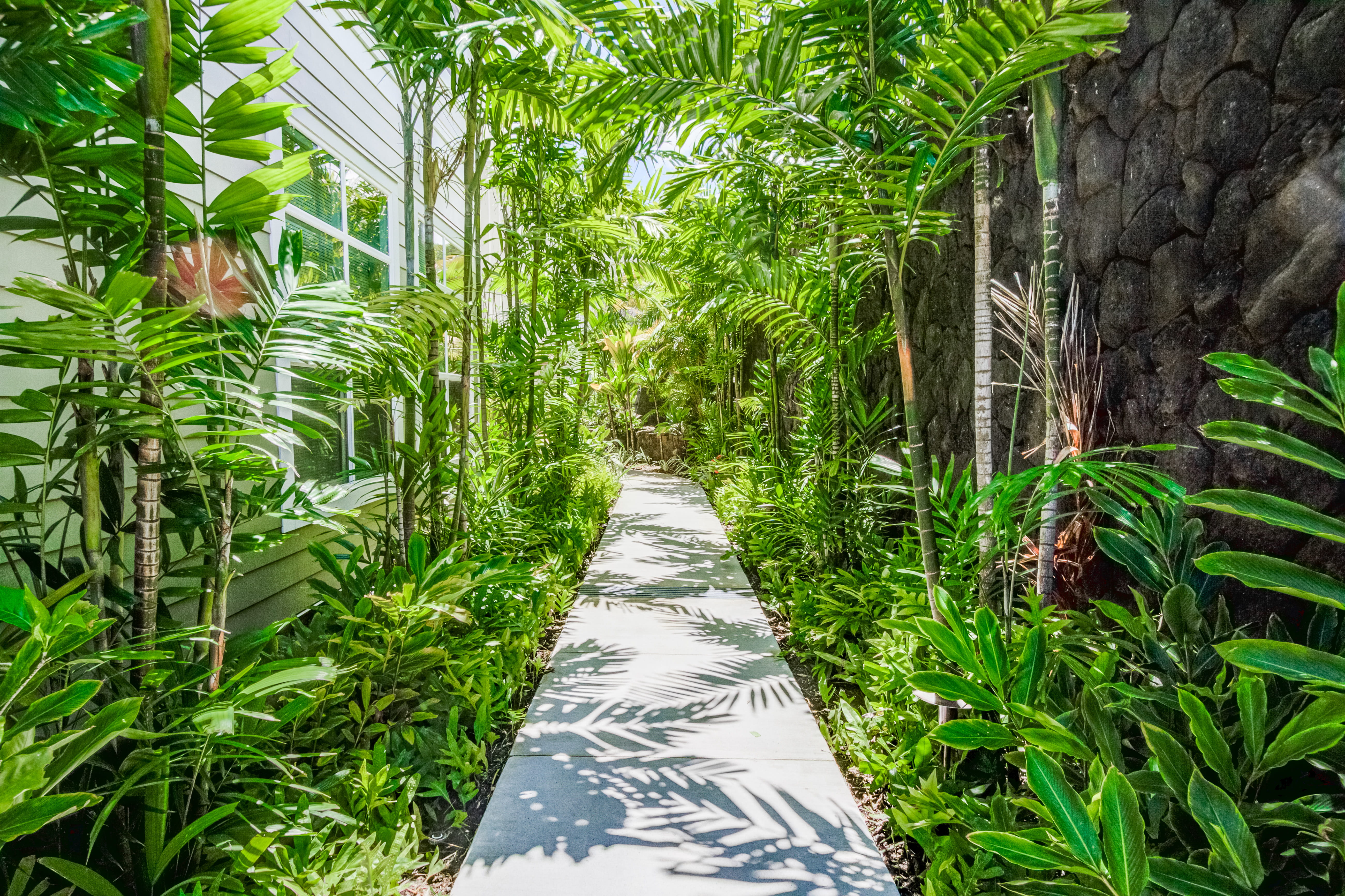Lush tropical garden walkway with palm trees and a stone wall.